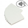 Carte Zebra PVC blanc UHF RFID Monza 4QT