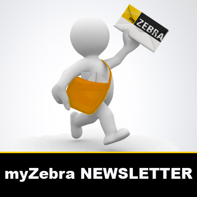 myzebra.com.pt e a newsletter