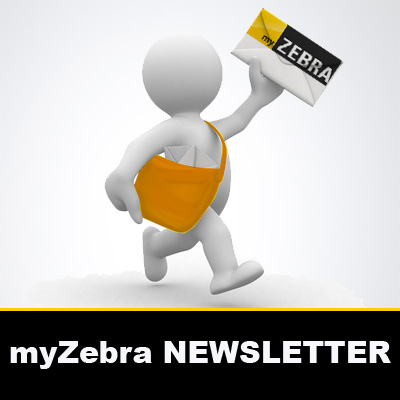 myzebra.fr et sa newsletter